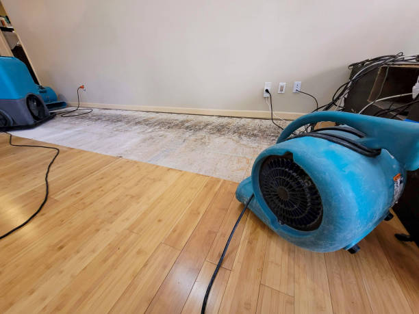 Professional Structural Drying technician working in Canaan, NH